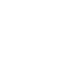 Nicsphere